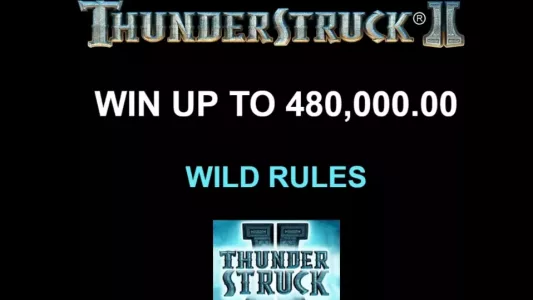Thunderstruck II Slot Wild Rules
