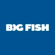 Logo image for Big Fish Casino