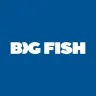 Logo image for Big Fish Casino