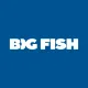 Logo image for Big Fish Casino