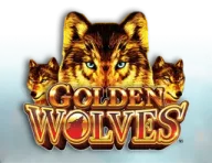 Golden Wolves Desktop Image